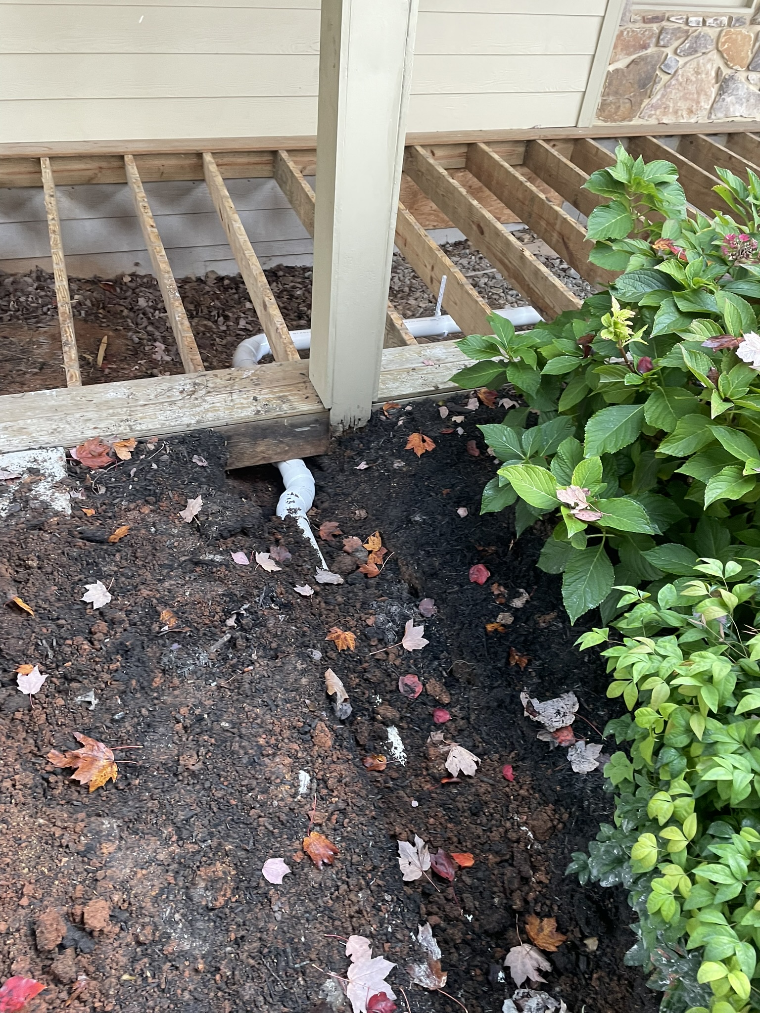 Bathroom remodel plumbing layout in framing